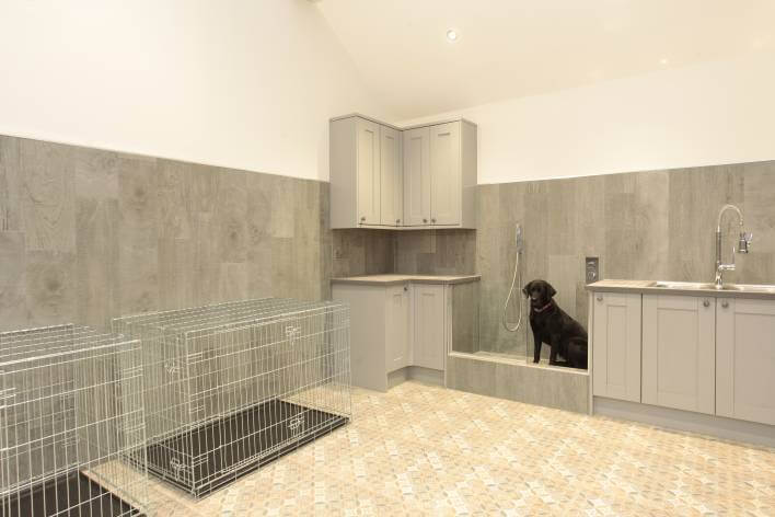 Dog room