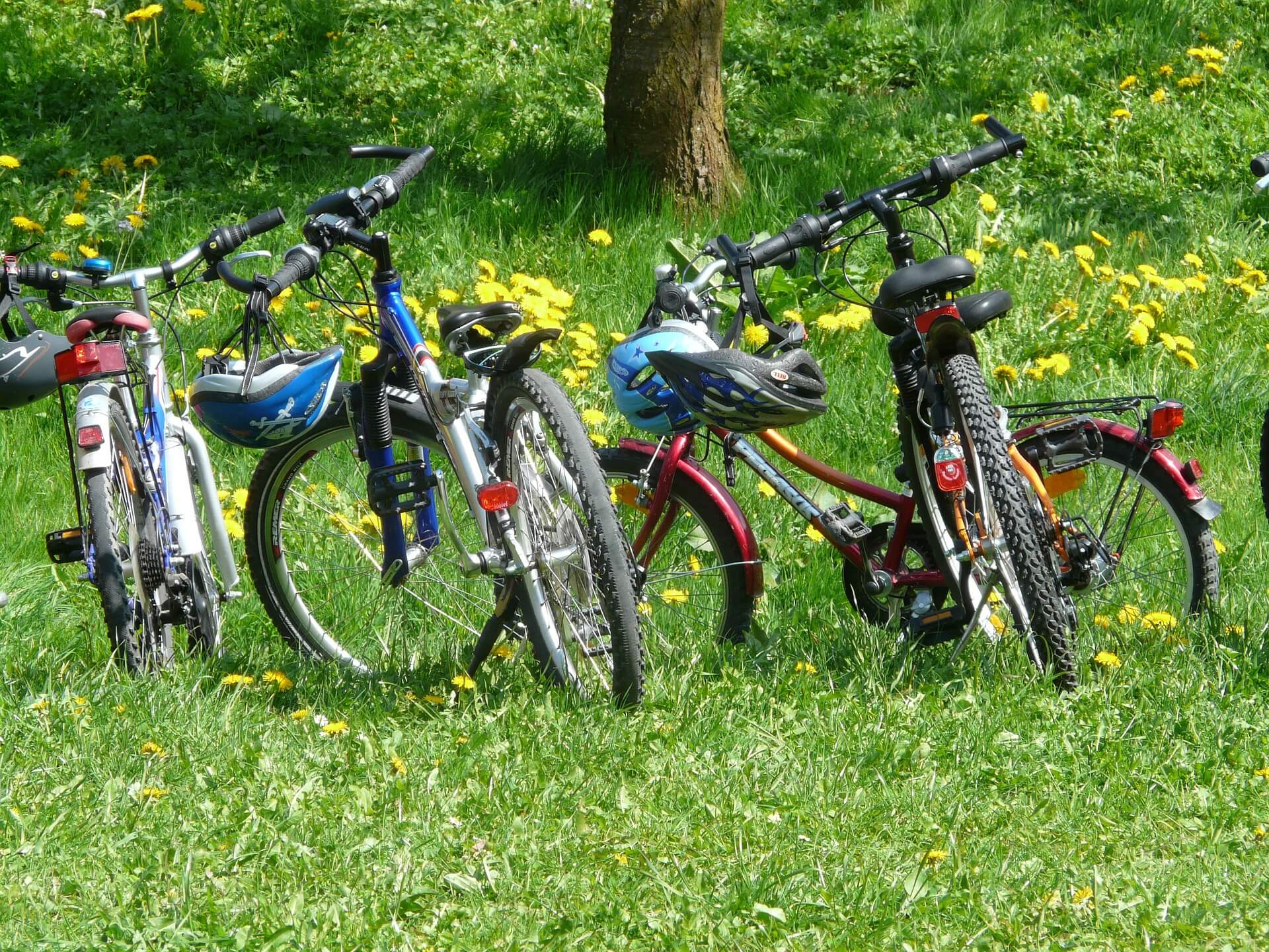 Mountain bike trails south yorkshire online